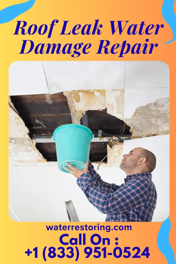 Roof Leak Water Damage Repair in Falkner, MS