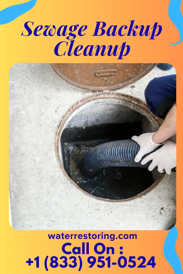 Sewage Backup Cleanup in Falkner, MS
