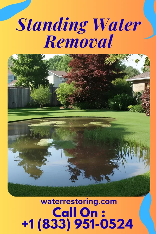 Standing Water Removal in Falkner, MS